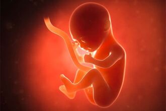 Vorladung bei Verstoss gegen das Embryonenschutzgesetz